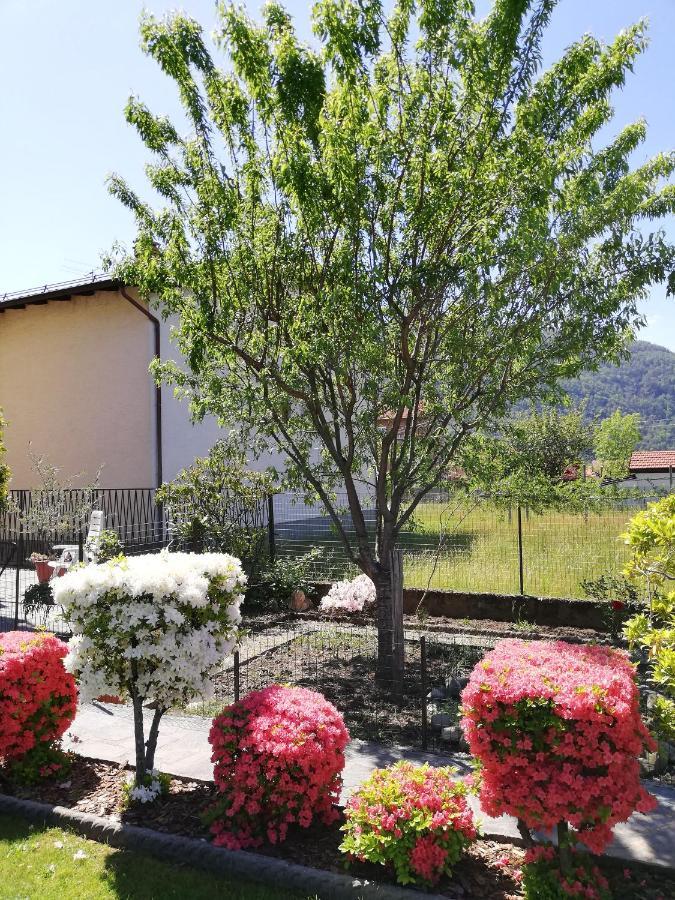 La Rosa Rossa Apartment Cambiasca Exterior photo